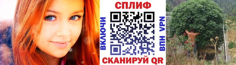 Купить наркотики сайты Зеленодольск MEGA сайт  Alpha PVP  Марихуана  Меф мяу мяу  COCAIN 