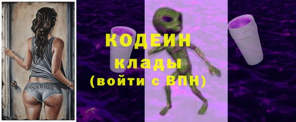 молекула духа Пестово
