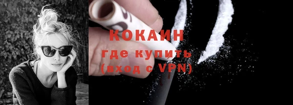 молекула духа Пестово
