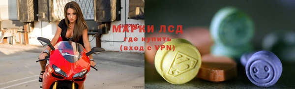 стаф Абинск