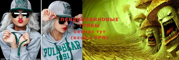 гашик Переславль-Залесский