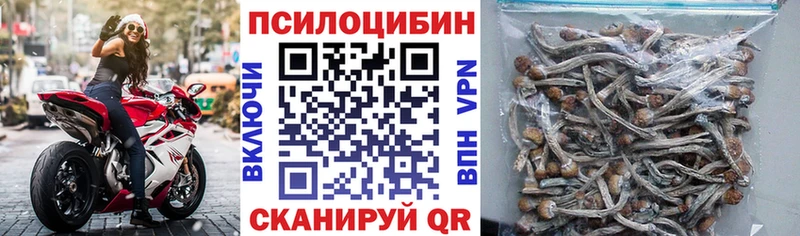 сколько стоит  Зеленодольск  Галлюциногенные грибы мицелий 