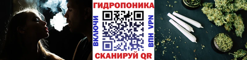 Шишки марихуана семена  купить наркотики сайты  Зеленодольск 